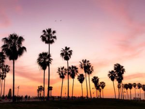 escondido-bicycle-accidents
